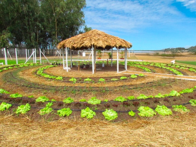 Inscrições para Prêmio Inova Agro seguem até esta sexta (22)