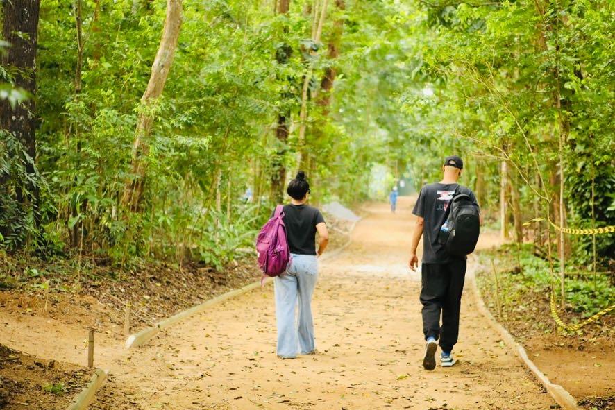 Salvador é reconhecida internacionalmente por revitalização do Jardim Botânico Municipal