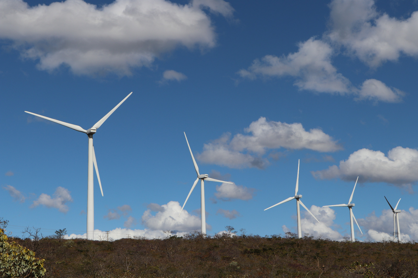 Bahia consolida liderança nacional em energias renováveis com avanços em eólica e solar