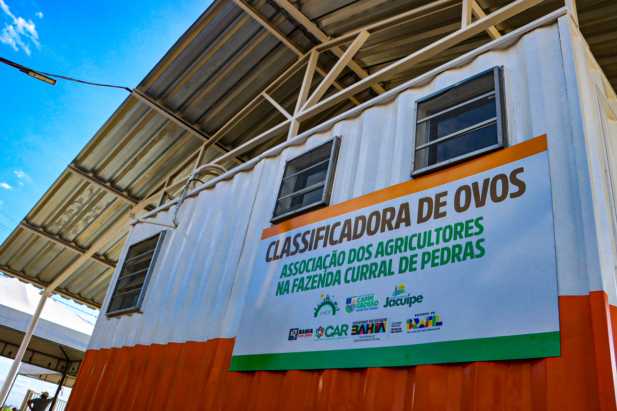 Bahia fortalece produção de ovos na agricultura familiar e acompanha crescimento do consumo nacional