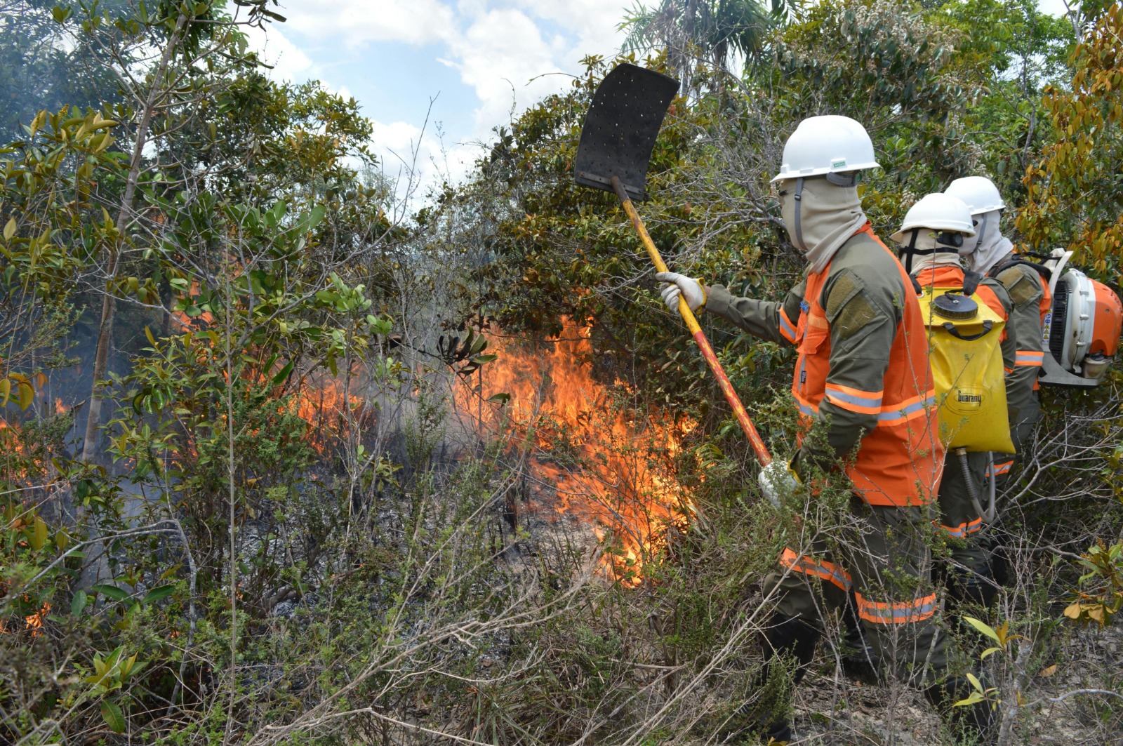 Bracell participa de seminário internacional e destaca educação como estratégia para prevenir incêndios florestais